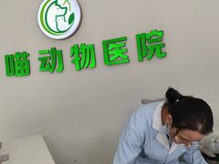 -汪喵宠物医院·骨科心脏影像·犬猫急重症ICU诊疗中心(成华分院)
