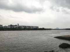 -小洲村