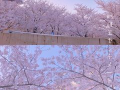-龙美术馆(西岸馆)