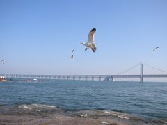 -星海广场