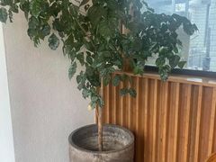 -食膳公园包子铺(烈士公园店)