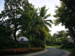 -海南清水湾莱佛士酒店