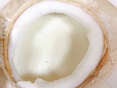 -志龙皇冠吃货椰子铺