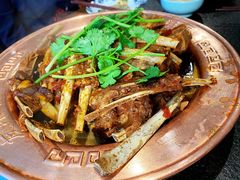 -友乐居羊蝎子(西直门店)