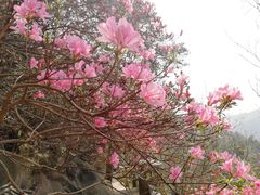 -木兰云雾山