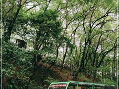 -岳麓山风景名胜区