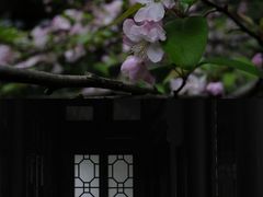-成都杜甫草堂博物馆