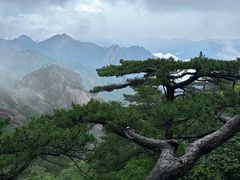 -黄山风景区