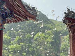 -华清宫景区