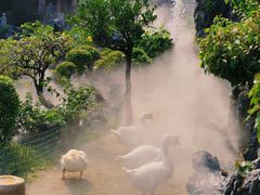-广东圆玄道观
