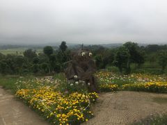 -黄色小屋