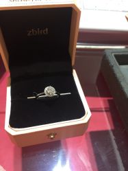 -Zbird钻石小鸟·钻戒婚戒定制高端珠宝私人定制中心