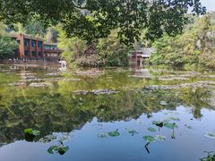 -野象谷景区