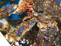 -盒马鲜生(领丰汇店)