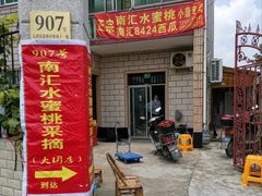 -南汇水蜜桃采摘(大团店)