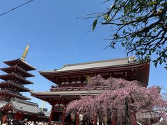 -浅草寺