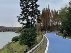 -宜兴龙背山森林公园