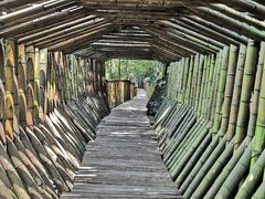 -水墨汀溪风景区