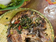 -沐毫傣泐云南菜孔雀宴•手抓饭傣味烧烤(曼听公园店)