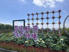 -广州莲花山旅游区