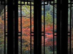 -中国茶叶博物馆(双峰馆区)