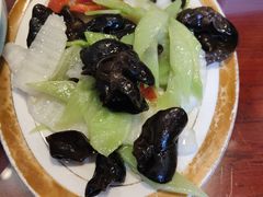 -邵年鸽(杨庄店)