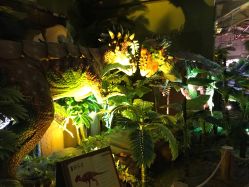 -恐龙探索乐园(磁器口店)