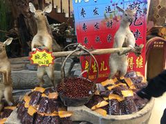 酸枣-乔家满族八大碗(流水沟店)