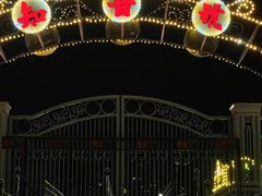 -武汉知音号