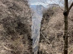-王莽岭风景区