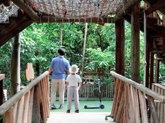 -呀路古热带植物园