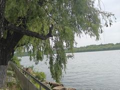 -长春市南湖公园