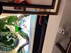-大鸽饭(岗顶店)