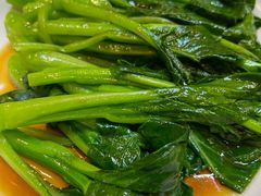 广东菜心-頂好酒家·经典粤菜(海信广场店)