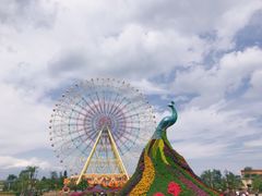 -七彩云南欢乐世界