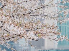 -西北湖绿化广场
