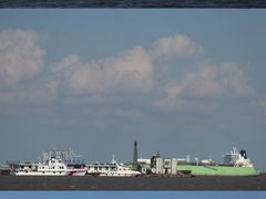 -上海吴淞炮台湾国家湿地公园