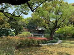 -申粤轩酒楼·三十年粤菜经典(丁香花园店)