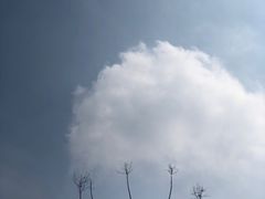 -钟山体育运动公园