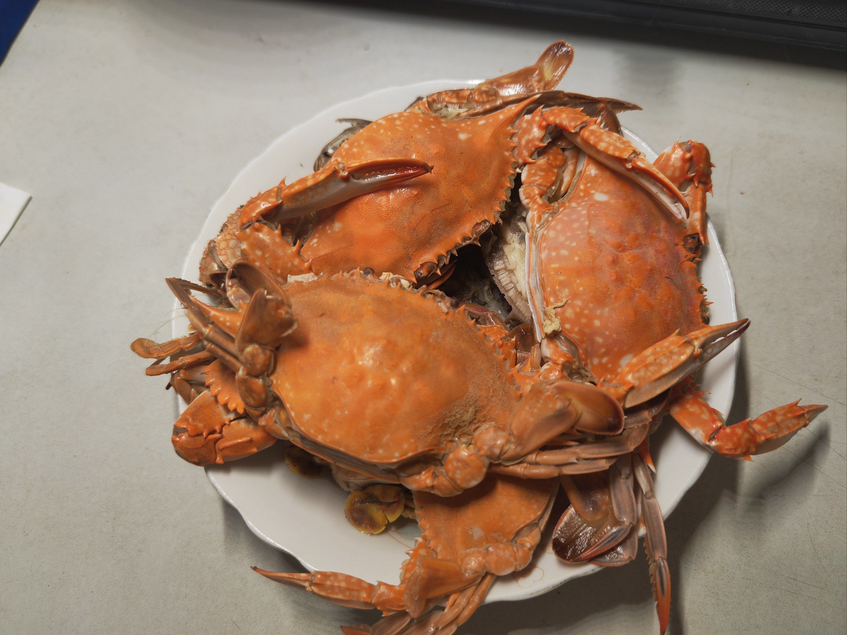 港东码头赶海抓螃蟹