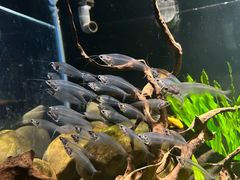 -太平洋海底世界