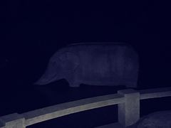 -紫霞湖公园
