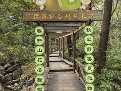 -大岭沟猕猴桃谷风景区