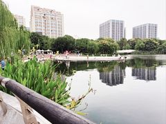 -南翔镇银翔湖公园
