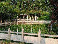 -河南省黄河迎宾馆