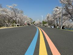 -羊山湖公园