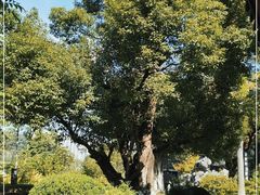 -广州神农草堂中医药博物馆