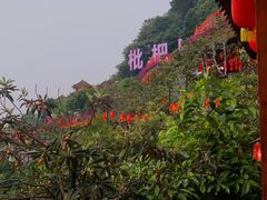 -枇杷园食为鲜火锅(南山店)
