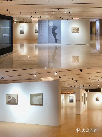深圳看展｜在沉默的凝视中 观察与想象