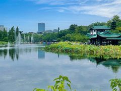 -桂湖森林公园
